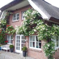 Wir freuen uns Sie uns unserem mit 5 Sternen des DTV klassifizierten Ferienhaus an der Ostsee auf Rügen zu begrüßen! – Landhaus Wildröschen in Binz